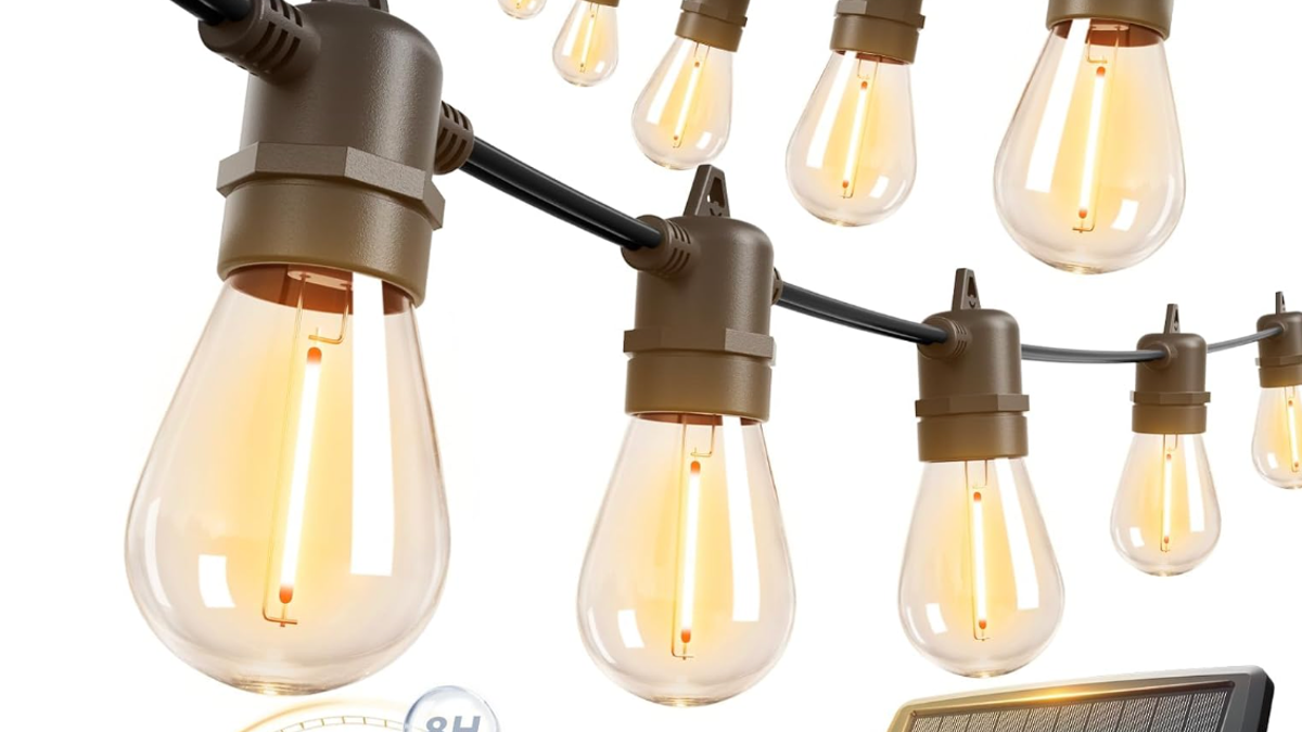 These lights automatically switch on at night.